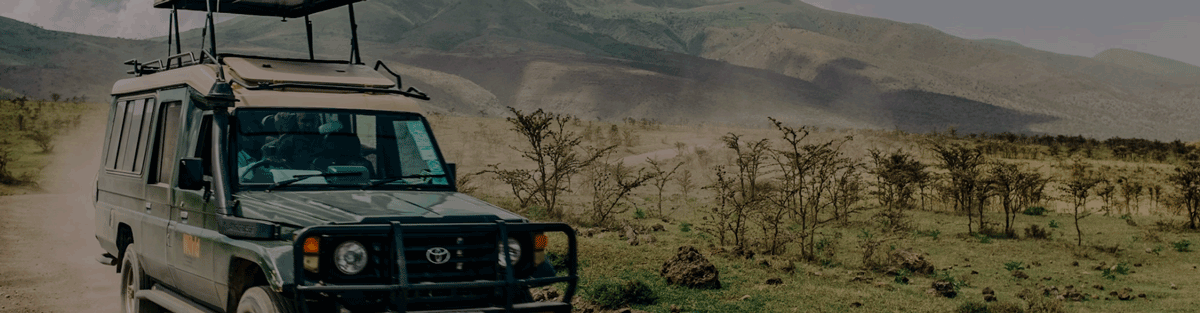 Ein grüner Safari Geländewagen fährt in Afrika durch die Natur