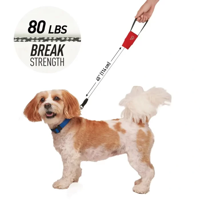 Kleiner braun-weisser Hund an einer robusten Nite Ize Hundeleine mit 114 cm Länge, geeignet für Hunde bis 36 kg Zugkraft.