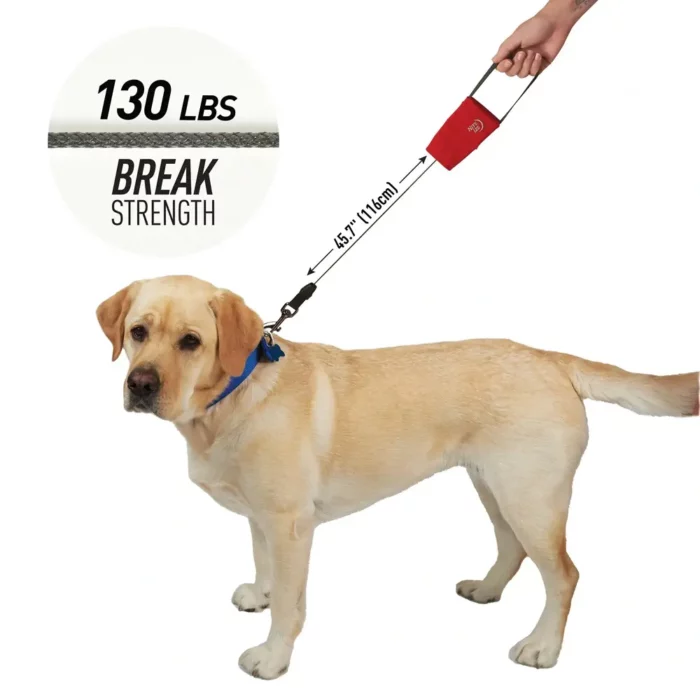 Ein grosser, heller Hund ist mit einer ausziehbaren Hundeleine gesichert, die eine Zugkraft von bis zu 59 kg aushält.