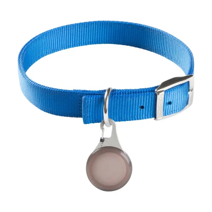 Ein blaues Hundehalsband mit einer silbernen Hunde Tracker Halterung, an der ein runder Tracker befestigt ist.
