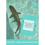 Ein Hai schwimmt im klaren, flachen Wasser. Daneben liegt eine TravelTalk-Karte mit der Frage „Wann hast Du das letzte Mal Deine Komfortzone verlassen? Und wie sah das aus?“ Oben rechts ist das TravelTalk-Kartenset abgebildet.